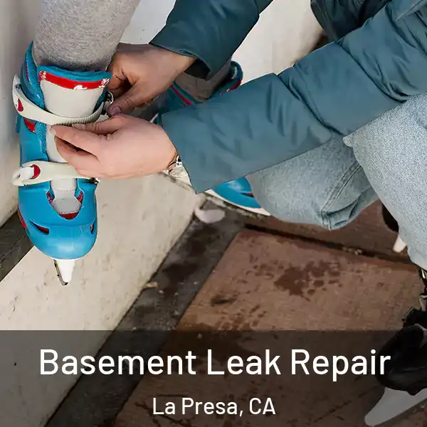  Basement Leak Repair La Presa, CA