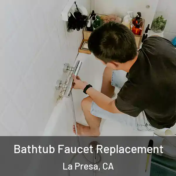  Bathtub Faucet Replacement La Presa, CA