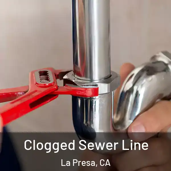  Clogged Sewer Line La Presa, CA