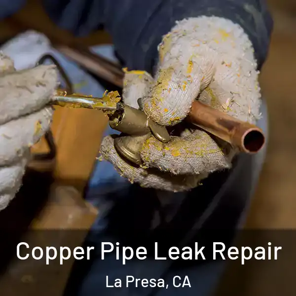  Copper Pipe Leak Repair La Presa, CA