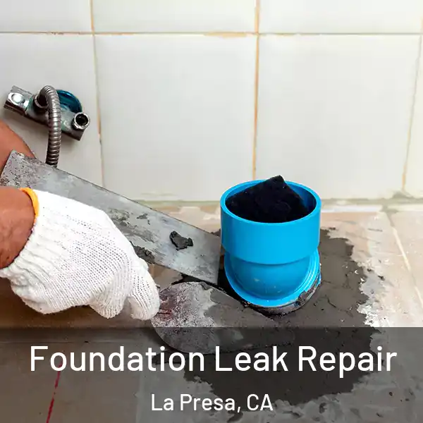  Foundation Leak Repair La Presa, CA