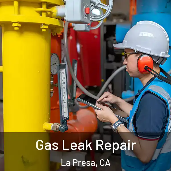  Gas Leak Repair La Presa, CA