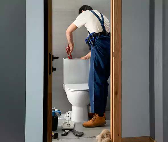 Professional Plumbers for Toilet Bowl Replacement in La Presa, CA: Schedule Affordable Toilet Replacement Services With Us