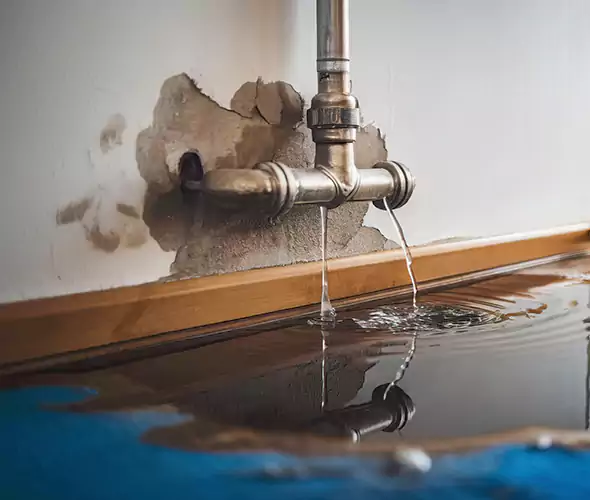 Professional Water Damage Restoration Experts in La Presa, CA — Fast, Reliable & Certified