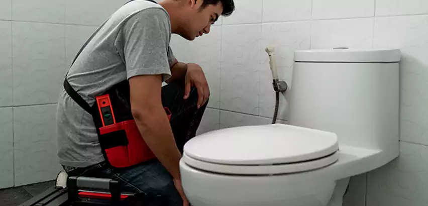 Toilet Repair in La Presa