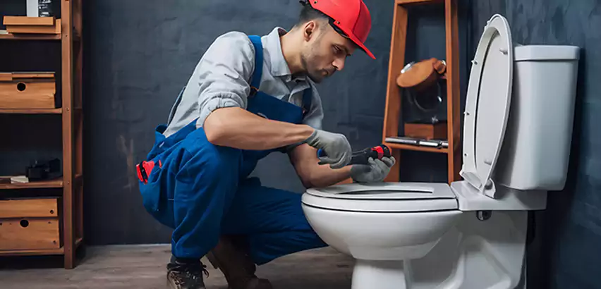 Commode Repair in La Presa, CA