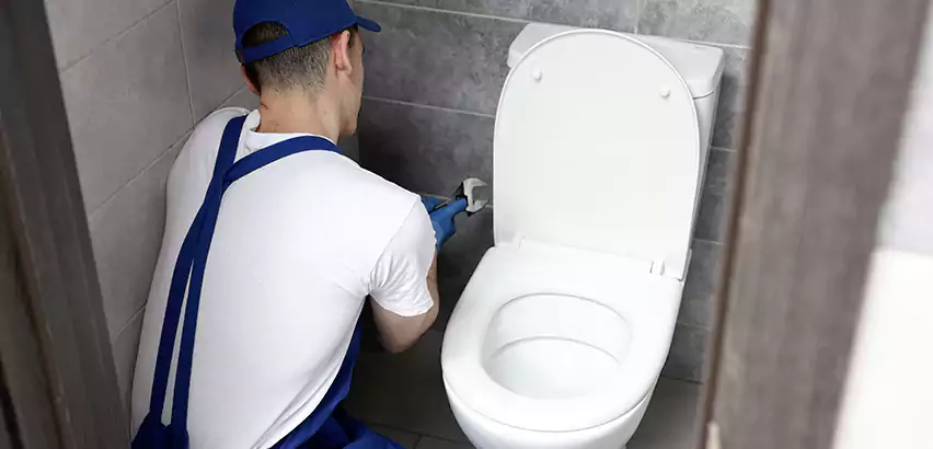 Toilet Lid Replacement in La Presa