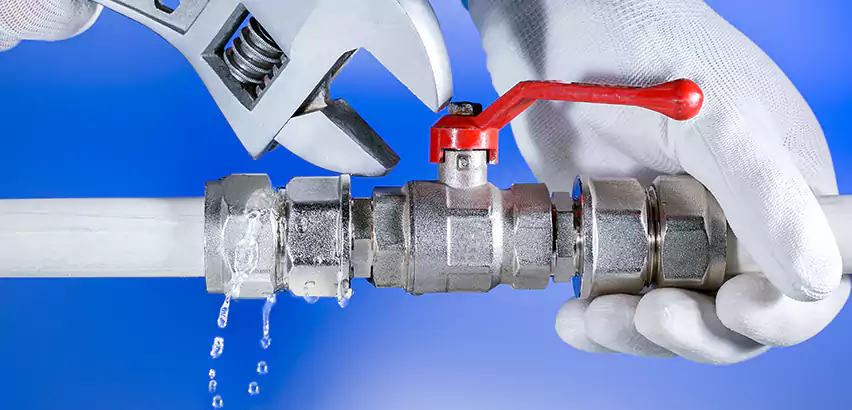 Water Line Repair in La Presa, CA