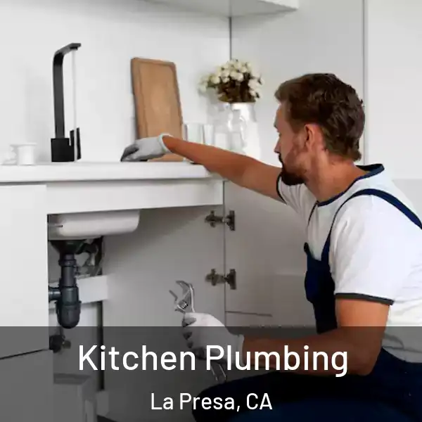  Kitchen Plumbing La Presa, CA