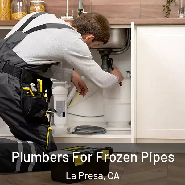  Plumbers For Frozen Pipes La Presa, CA