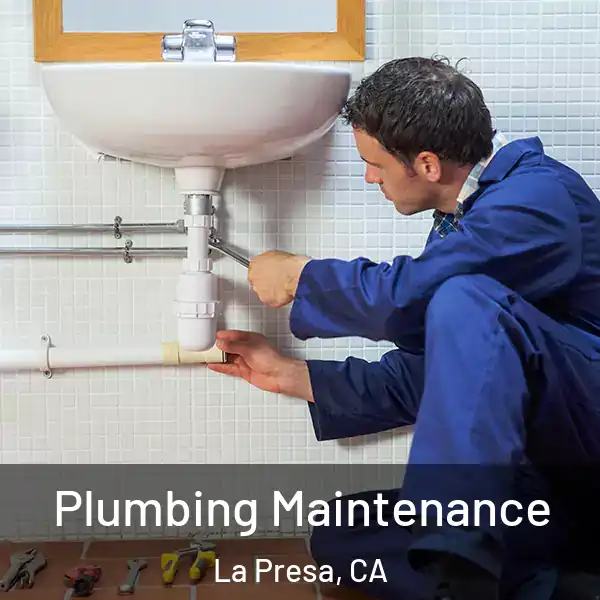  Plumbing Maintenance La Presa, CA
