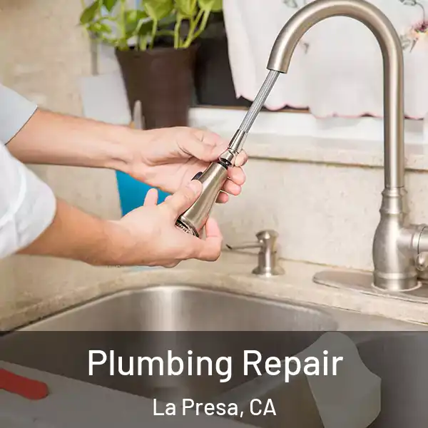  Plumbing Repair La Presa, CA