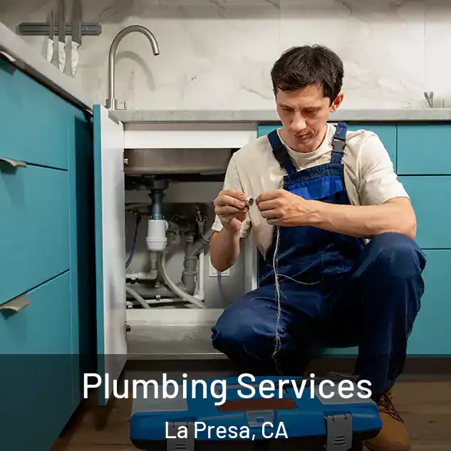  Plumbing Services La Presa, CA