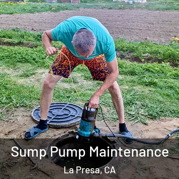  Sump Pump Maintenance La Presa, CA