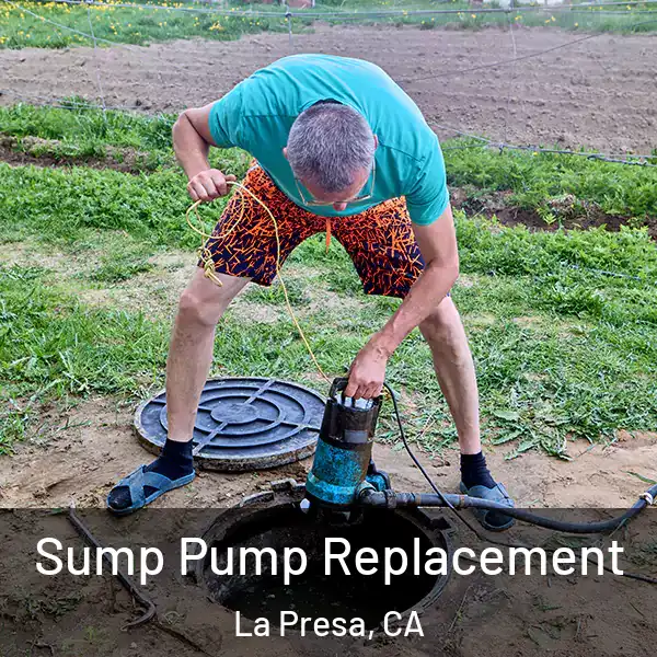  Sump Pump Replacement La Presa, CA