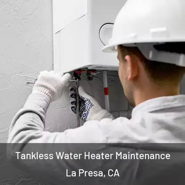  Tankless Water Heater Maintenance La Presa, CA