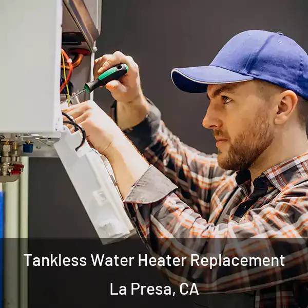  Tankless Water Heater Replacement La Presa, CA