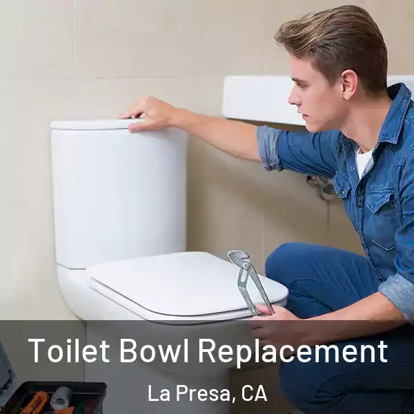  Toilet Bowl Replacement La Presa, CA