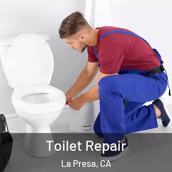  Toilet Repair La Presa, CA