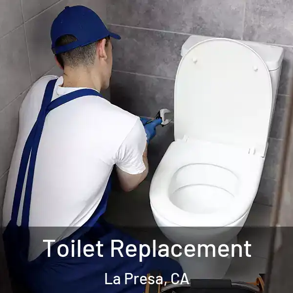  Toilet Replacement La Presa, CA