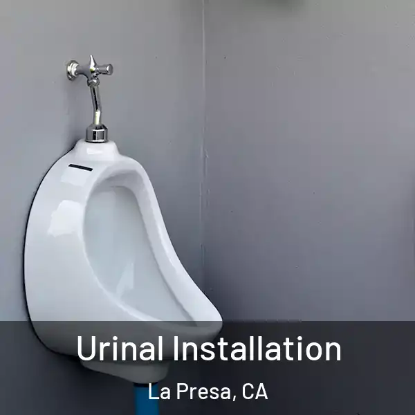  Urinal Installation La Presa, CA