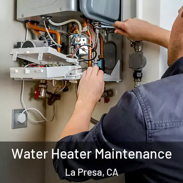  Water Heater Maintenance La Presa, CA