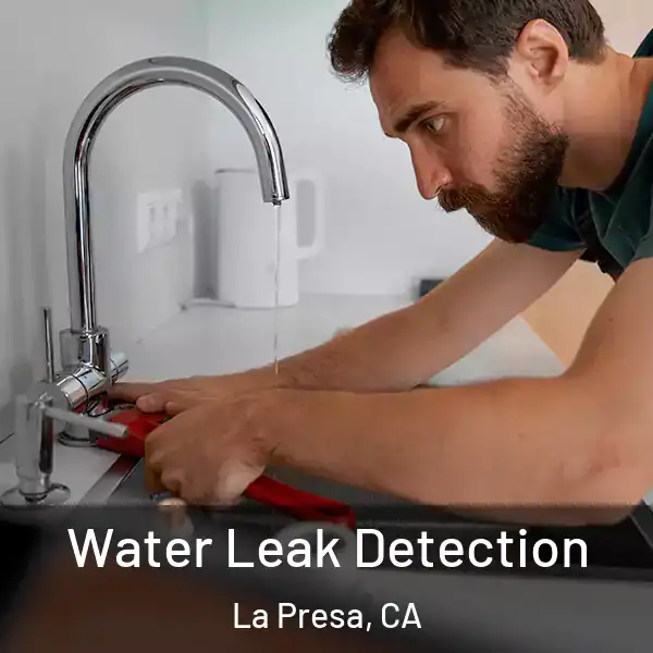  Water Leak Detection La Presa, CA