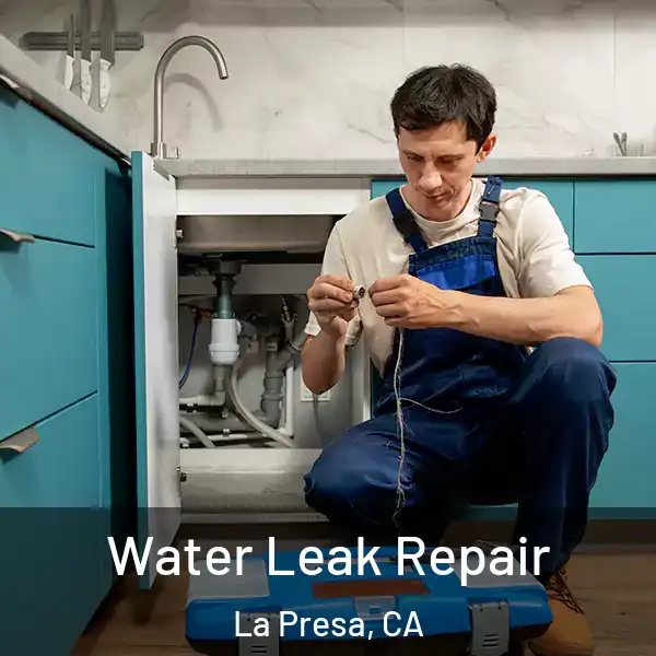  Water Leak Repair La Presa, CA