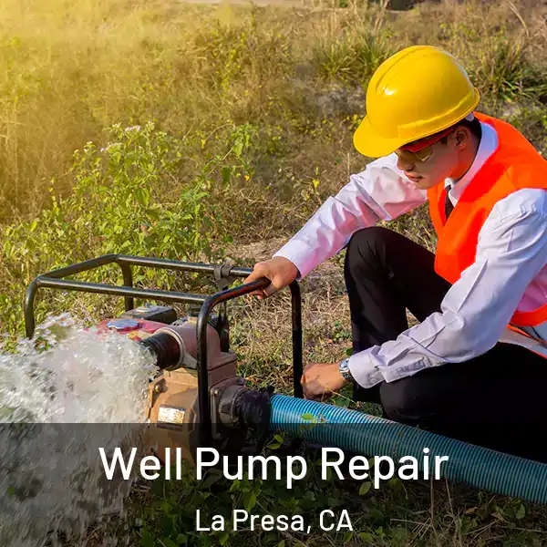  Well Pump Repair La Presa, CA