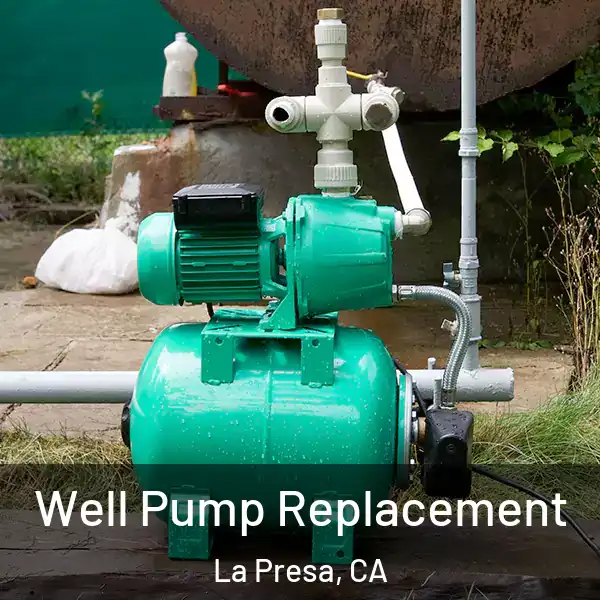  Well Pump Replacement La Presa, CA